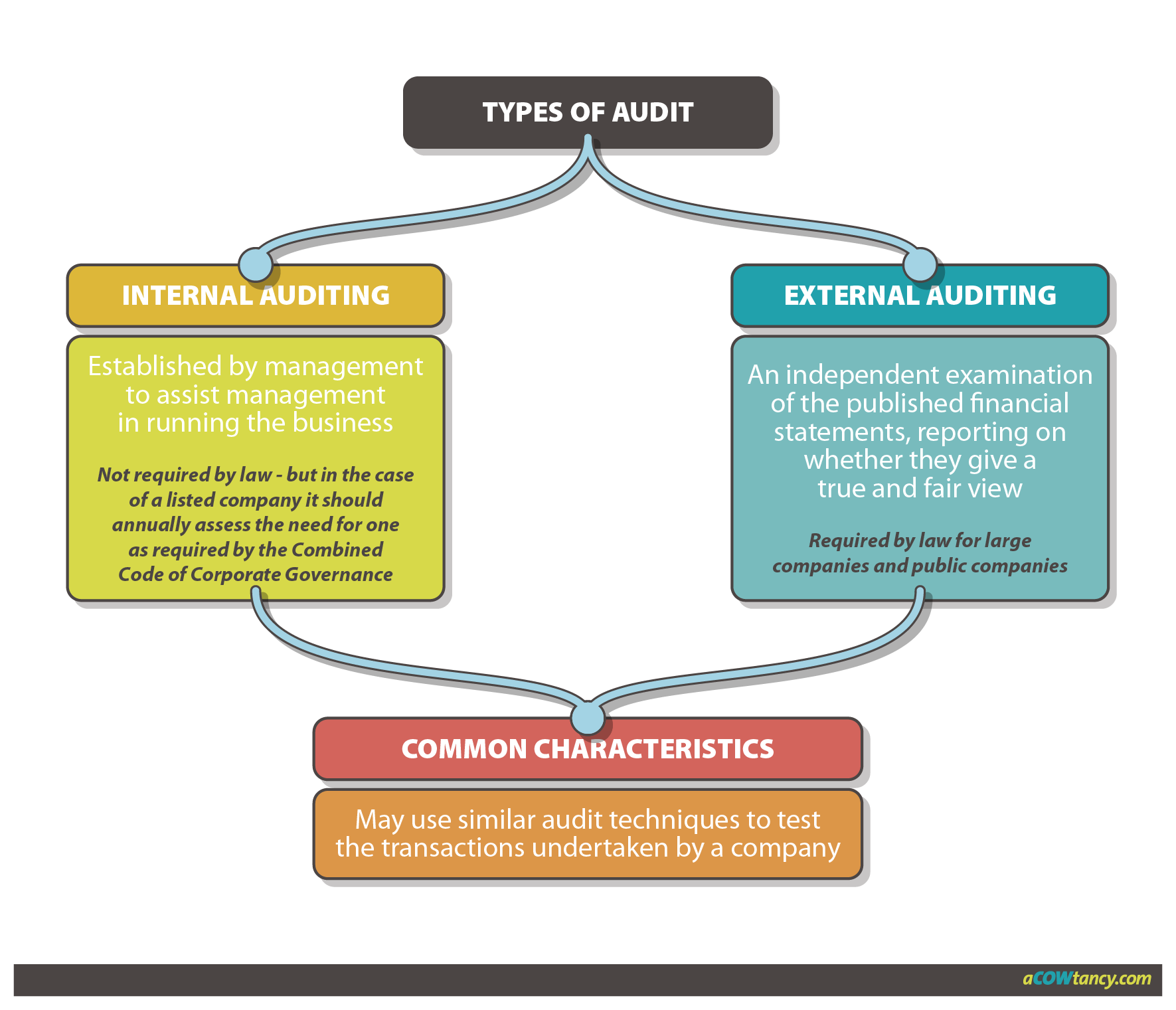 CIMA BA4 Notes: B3. Types Of Audit | aCOWtancy Textbook