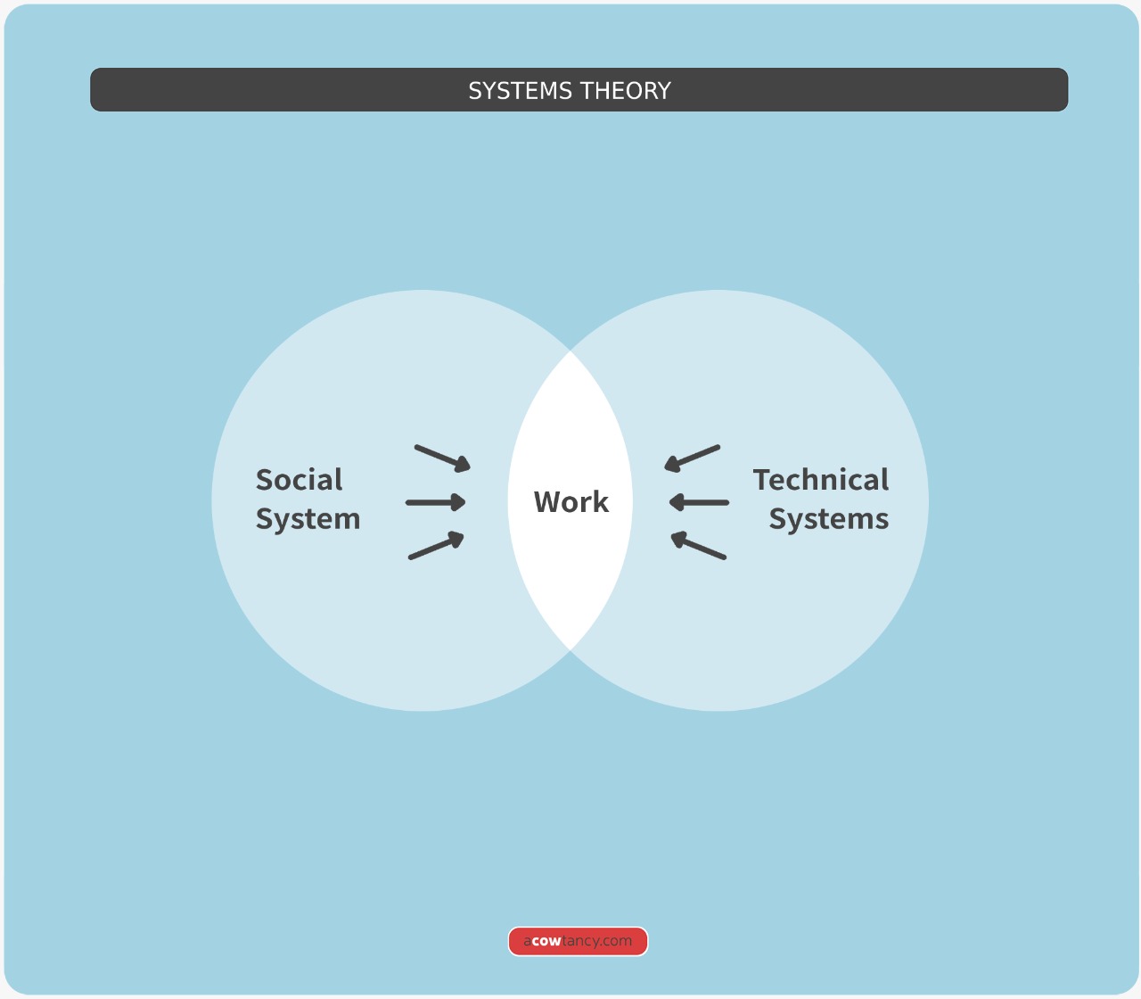 CIMA E2 Notes: B1. Systems Theory | ACOWtancy Textbook