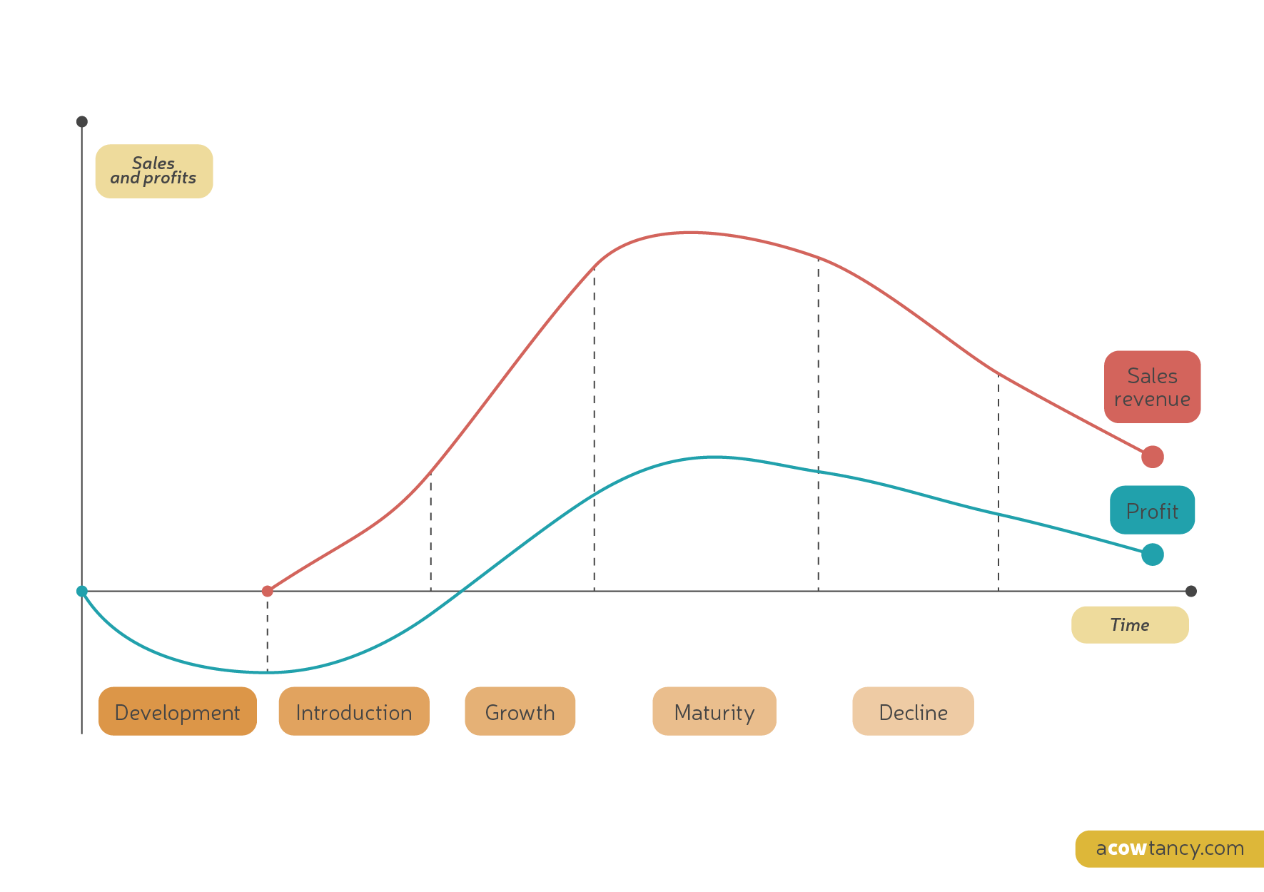 notes-identifying-the-costs-at-different-stages-of-the-life-cycle