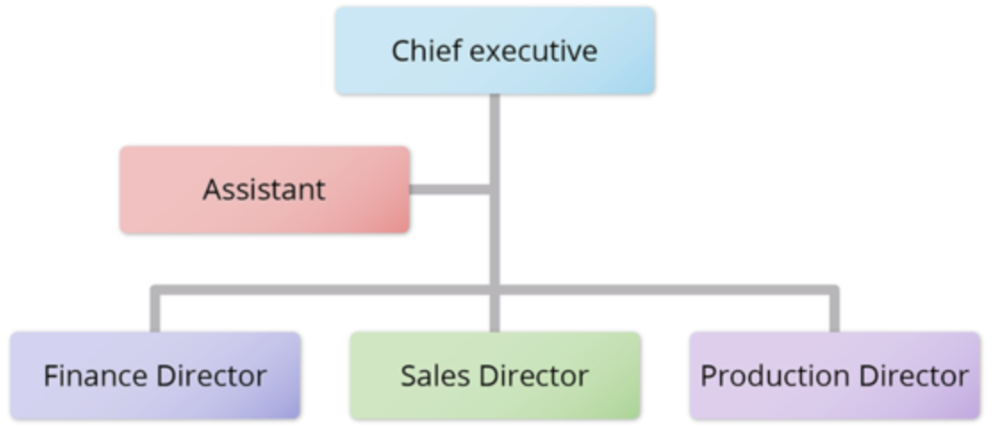 ACCA BT Notes: B1. The Formal and Informal Business Organisation ...